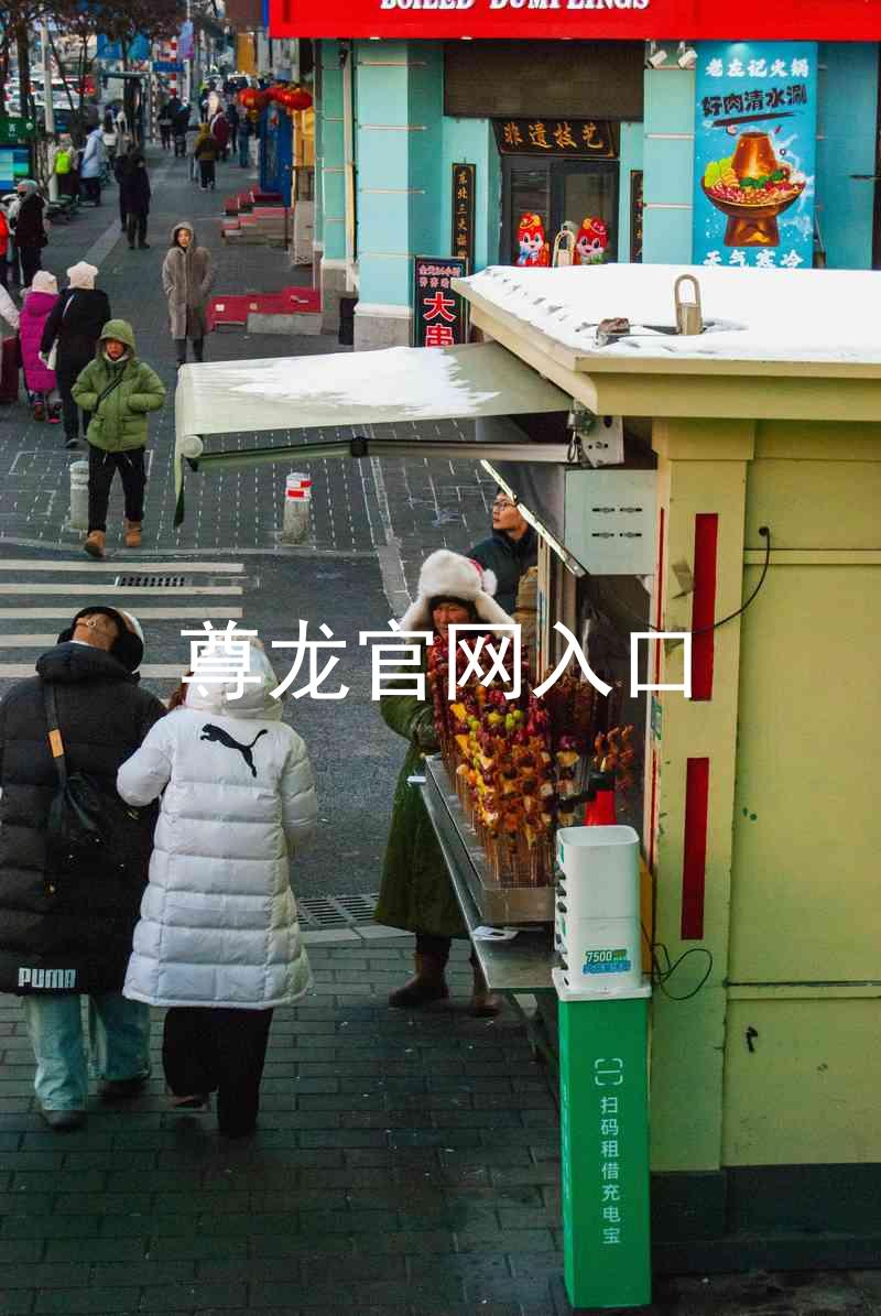 尊龙官网入口