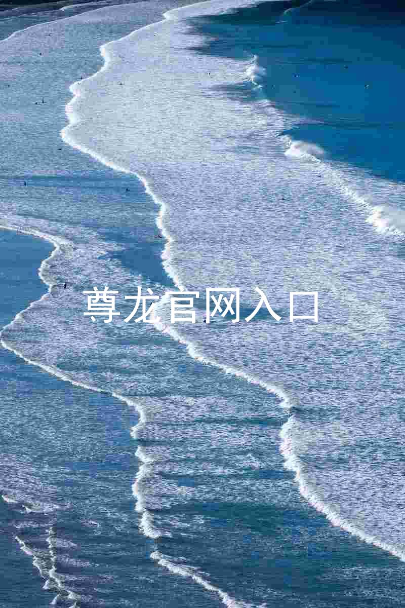 尊龙官网入口