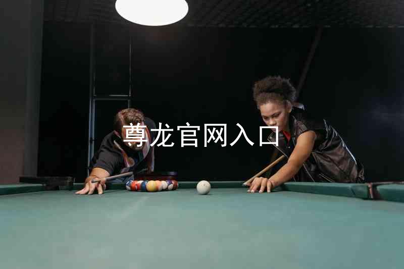 尊龙官网入口